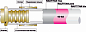 Труба Rehau Rautitan pink 63х8,7 отрезки 6 м., для систем отопления